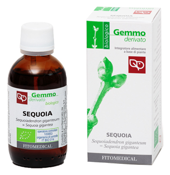 SEQUOIA MACERATO GLICERICO 50 ML BIO - Farmacianuova.eu