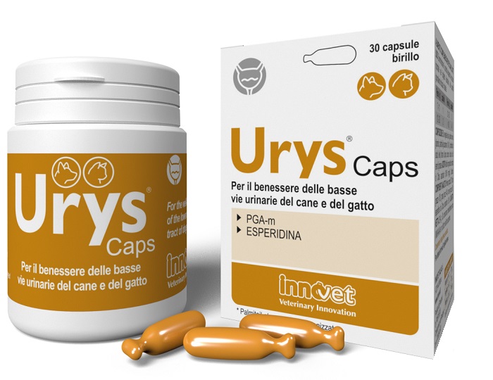 URYS CAPS 30 CAPSULE - Farmacianuova.eu
