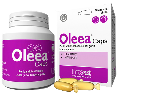 OLEEA CAPS 60 CAPSULE - Farmacianuova.eu