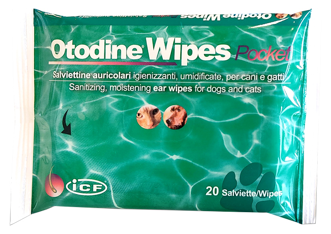 OTODINE WIPES POCKET 20 PEZZI - Farmacianuova.eu