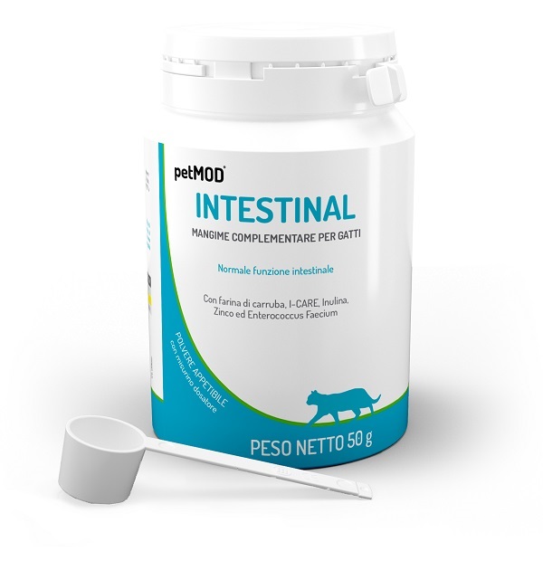 PETMOD INTESTINAL GATTO POLVERE 50 G - Farmacianuova.eu