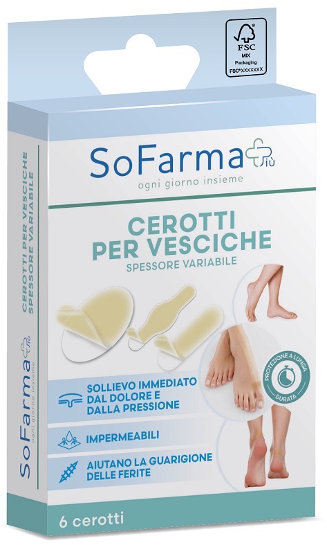 CEROTTO VESCICA ASSORTITI 6 PEZZI SOFARMAPIU' - Farmacianuova.eu